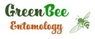 Green Bee Entomology Logo